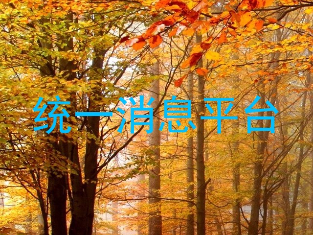 统一消息平台