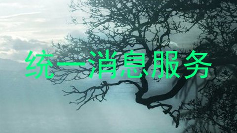 统一消息服务