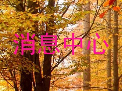 消息中心