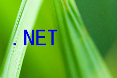 .NET