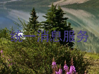 统一消息服务
