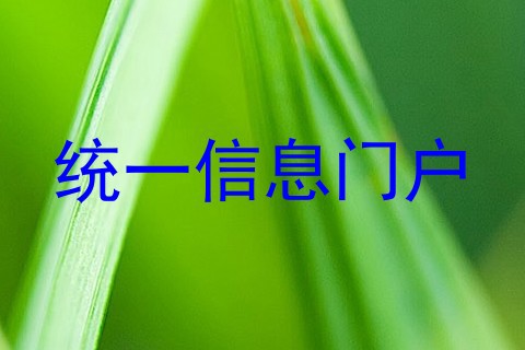 统一信息门户