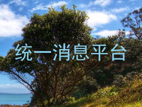 统一消息平台