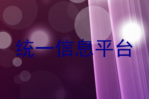 统一信息平台