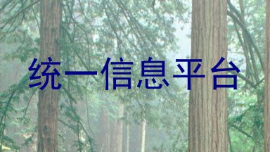 统一信息平台