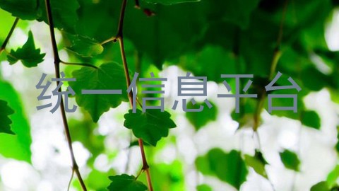 统一信息平台