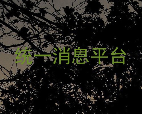 统一消息平台
