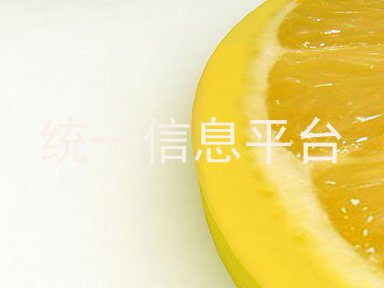 统一信息平台