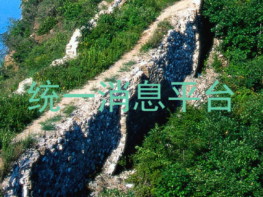 统一消息平台
