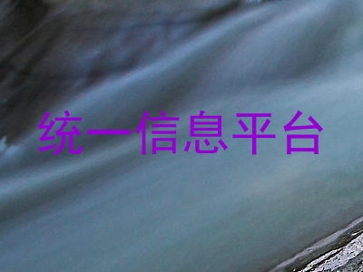 统一信息平台