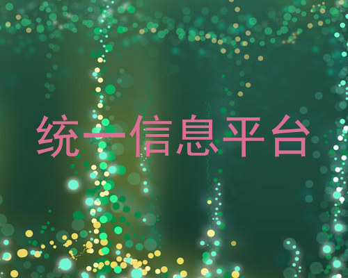 统一信息平台