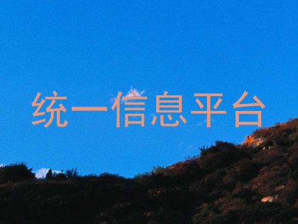 统一信息平台