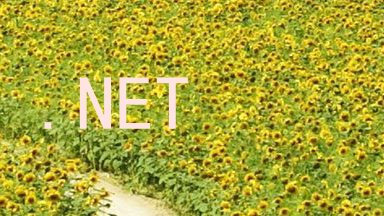 .NET