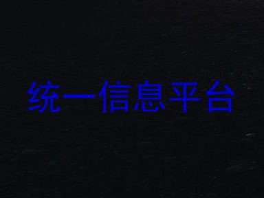 统一信息平台