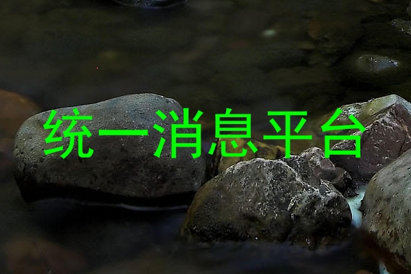 统一消息平台