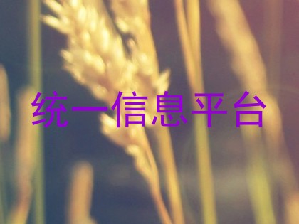 统一信息平台