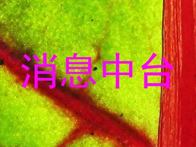 消息中台