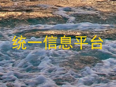 统一信息平台