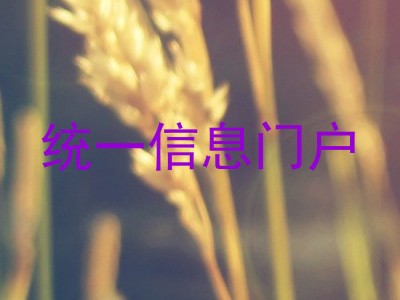 统一信息门户
