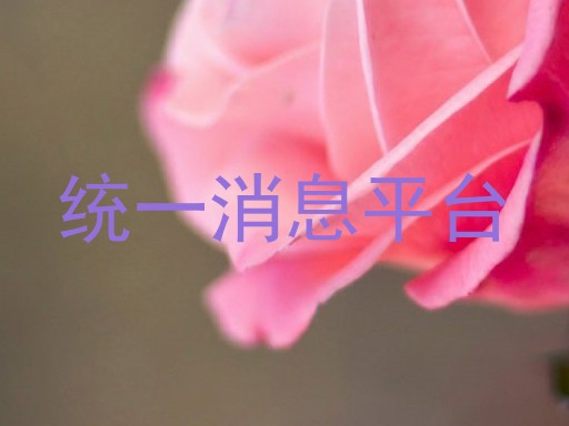 统一消息平台