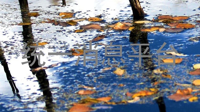 统一消息平台