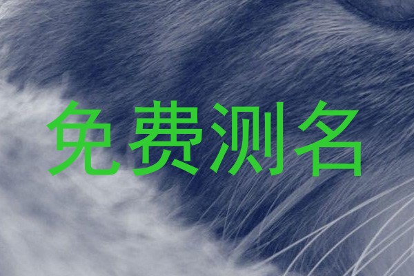 免费测名