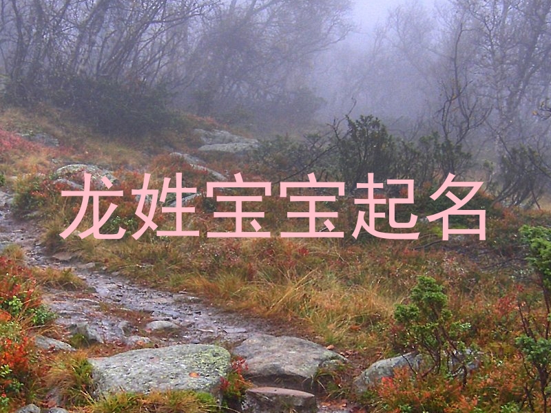 龙姓宝宝起名
