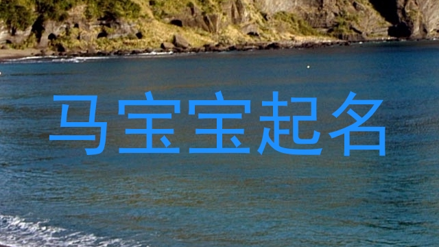 马宝宝