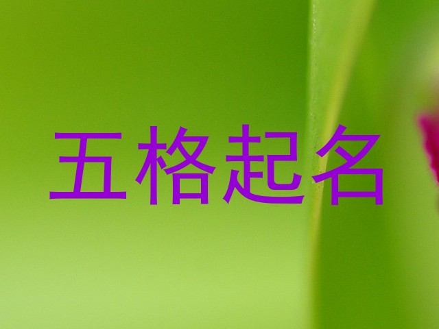 五格起名