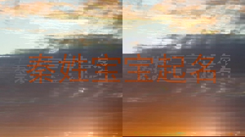 秦姓宝宝起名