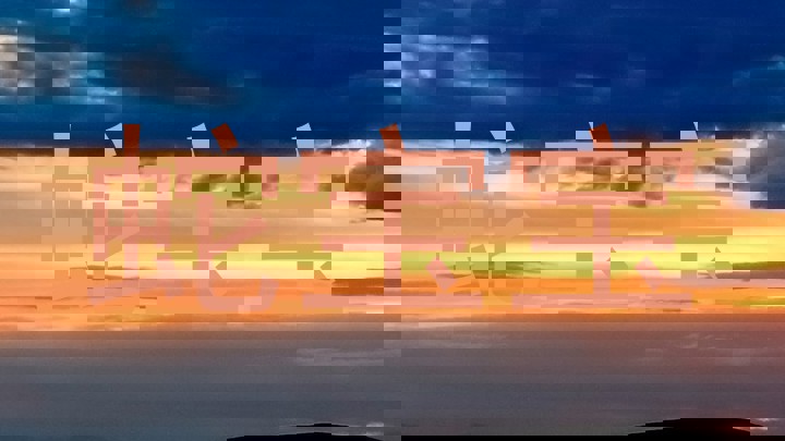 蛇宝宝