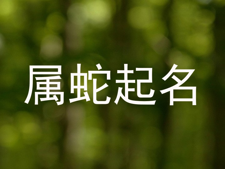 属蛇起名