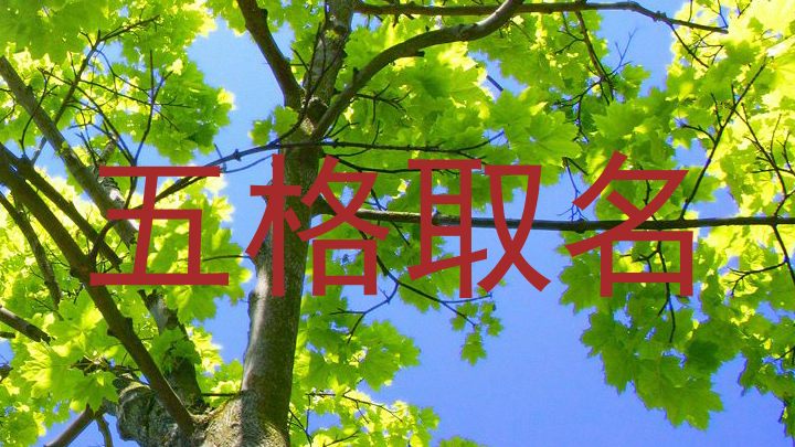 五格取名
