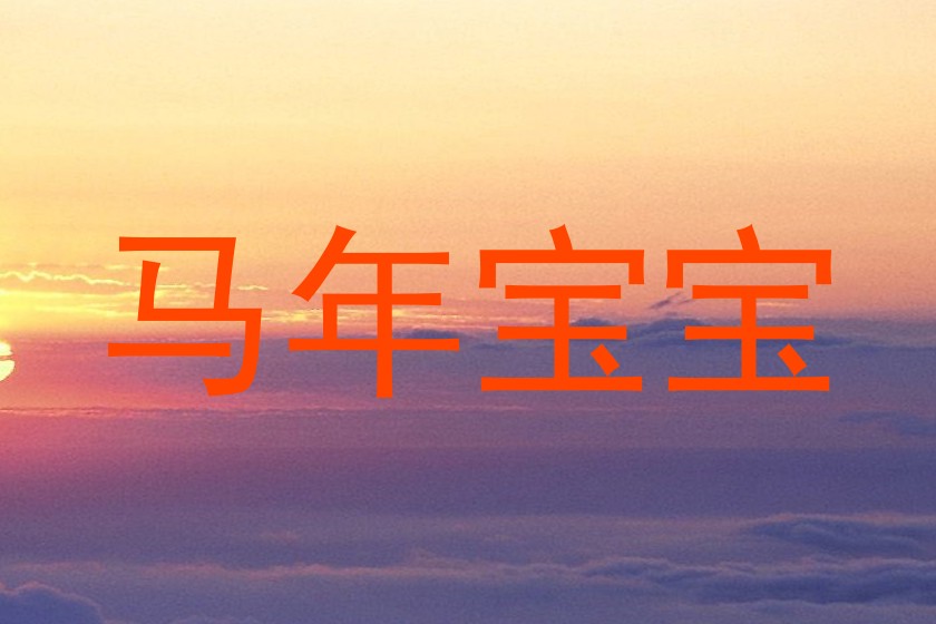 马年宝宝