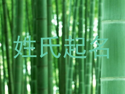 姓氏起名