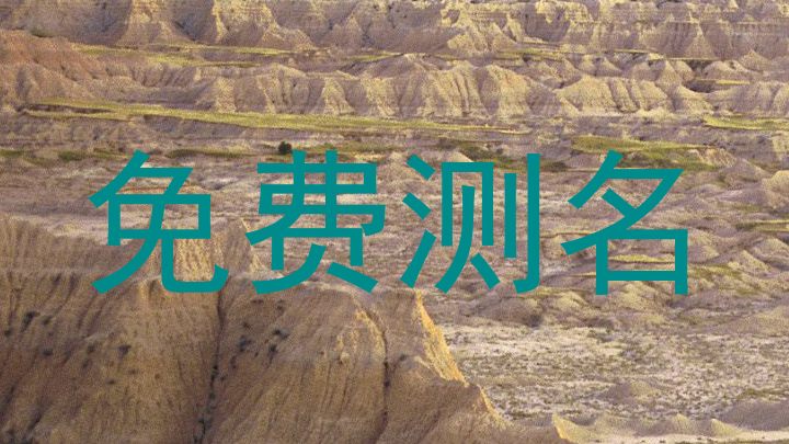 免费测名