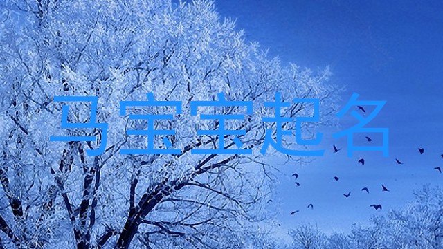 属马起名