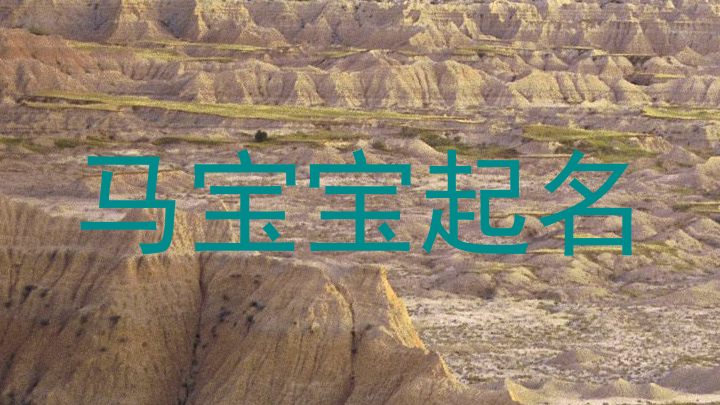 马宝宝起名