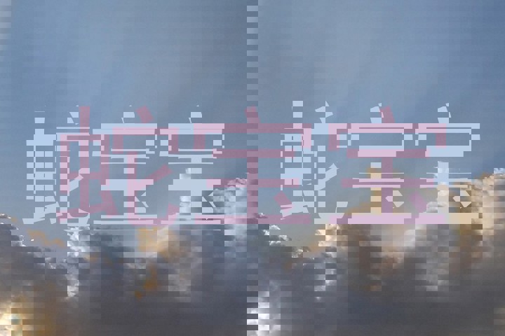 蛇宝宝