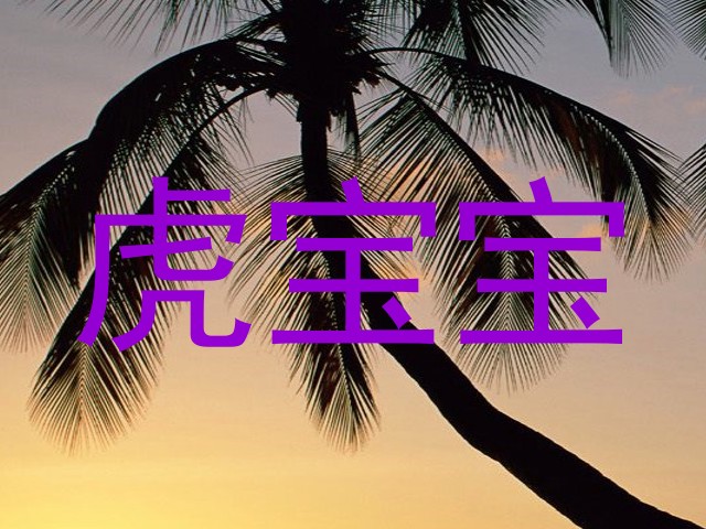 虎宝宝