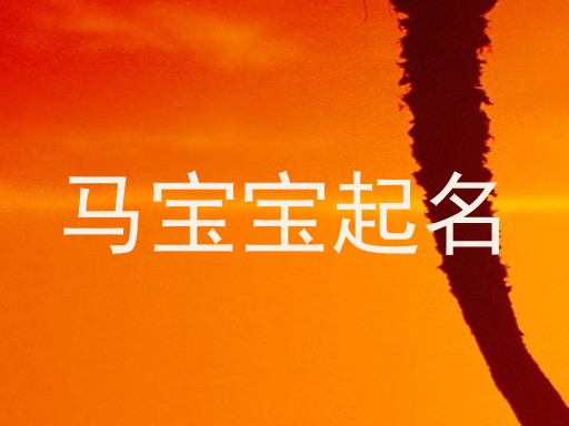 马宝宝取名