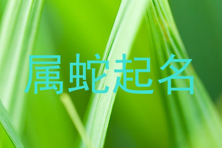 属蛇起名