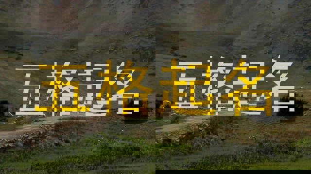 五格起名