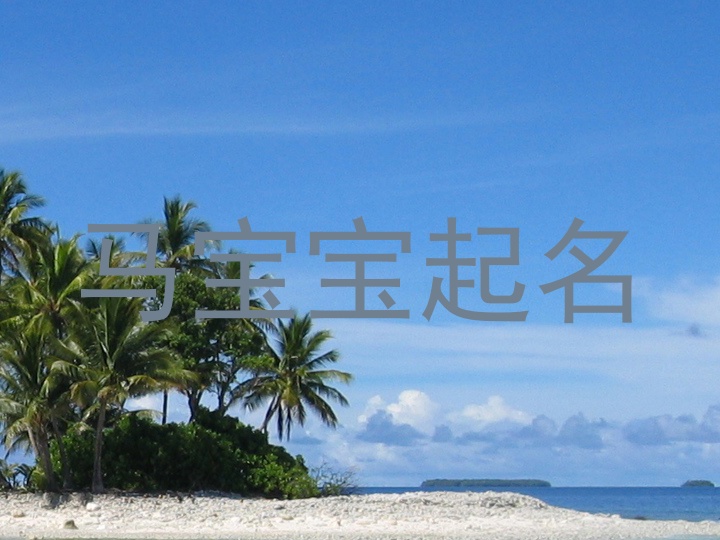 属马取名