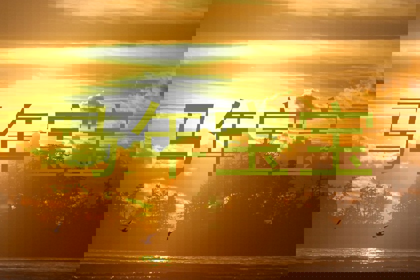 马年宝宝