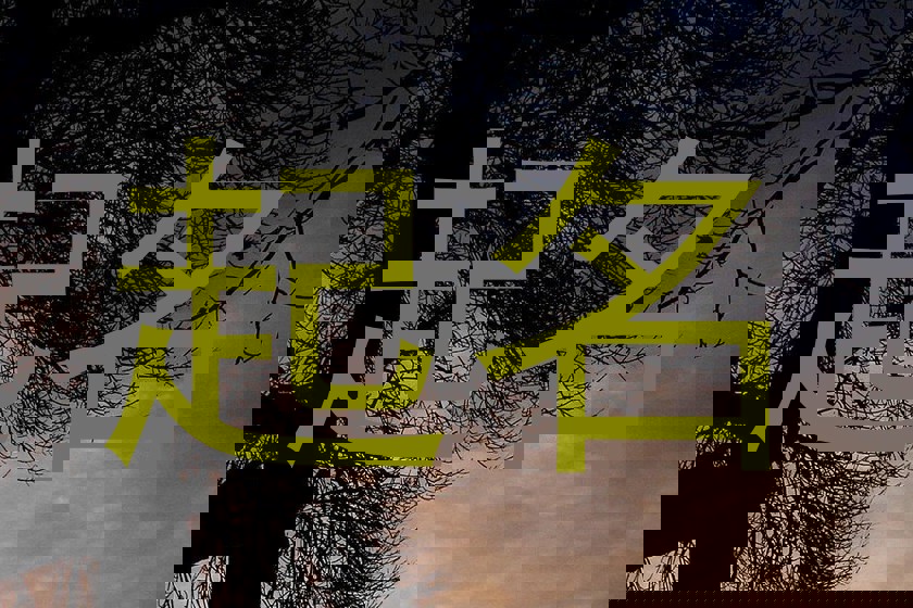 起名