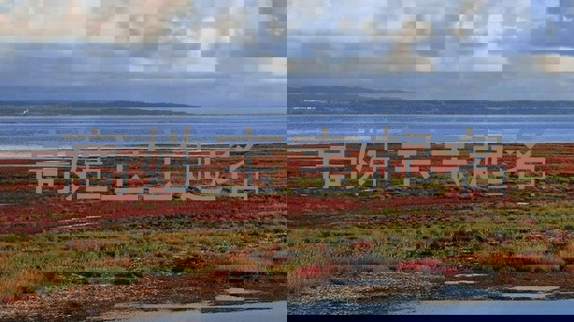 高姓宝宝起名