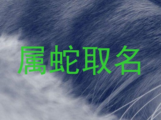 属蛇取名