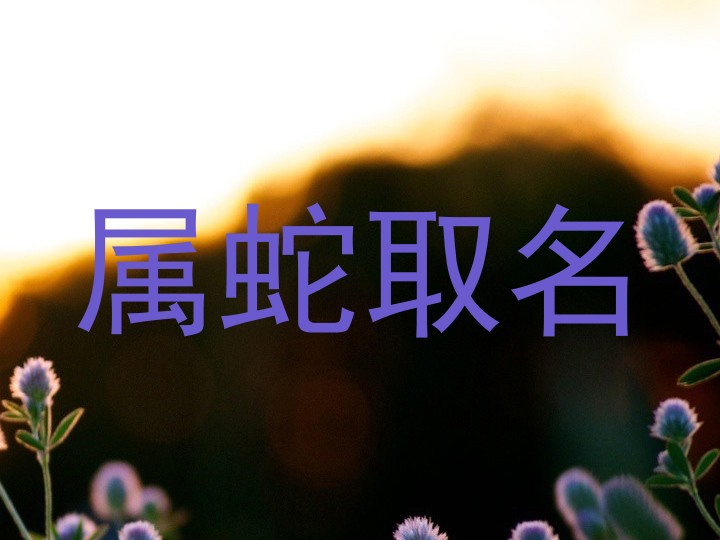 属蛇取名