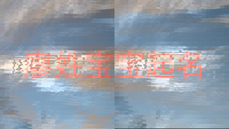 廖姓宝宝起名